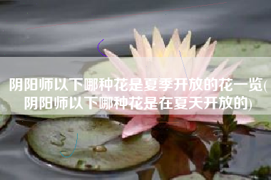 阴阳师以下哪种花是夏季开放的花一览(阴阳师以下哪种花是在夏天开放的)