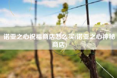 诺亚之心祝福商店怎么买(诺亚之心神秘商店)