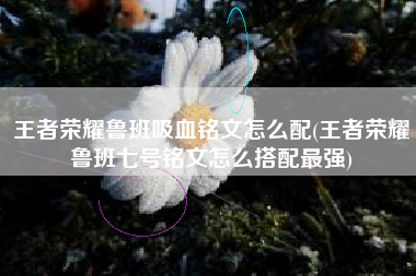 王者荣耀鲁班吸血铭文怎么配(王者荣耀鲁班七号铭文怎么搭配最强)