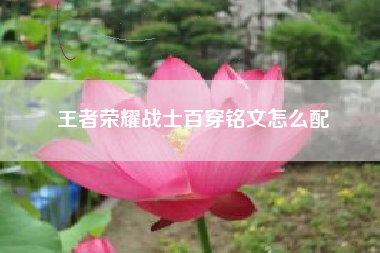王者荣耀战士百穿铭文怎么配