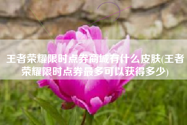 王者荣耀限时点券商城有什么皮肤(王者荣耀限时点券最多可以获得多少)