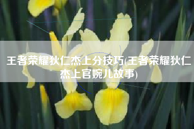 王者荣耀狄仁杰上分技巧(王者荣耀狄仁杰上官婉儿故事)