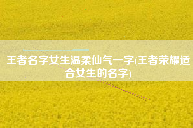 王者名字女生温柔仙气一字(王者荣耀适合女生的名字)