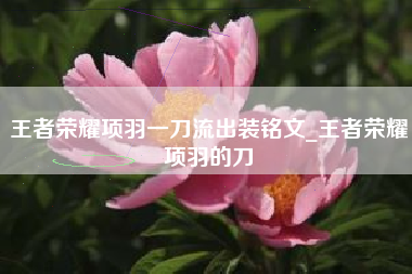 王者荣耀项羽一刀流出装铭文_王者荣耀项羽的刀