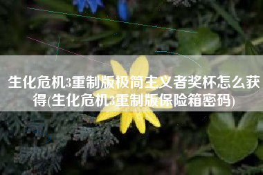 生化危机3重制版极简主义者奖杯怎么获得(生化危机3重制版保险箱密码)