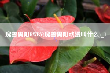瑰雪黑阳RWBY(瑰雪黑阳动漫叫什么)_1