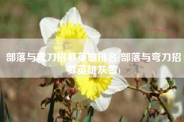 部落与弯刀招募英雄排名(部落与弯刀招募英雄灰雪)