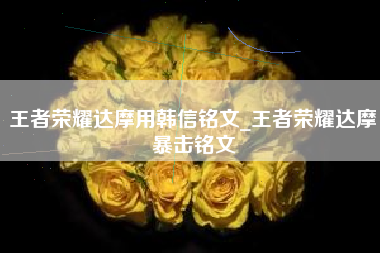 王者荣耀达摩用韩信铭文_王者荣耀达摩暴击铭文