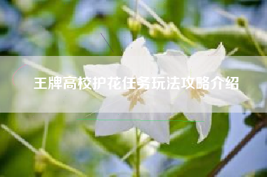 王牌高校护花任务玩法攻略介绍