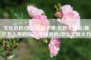 生化危机8怎么无限子弹-荒野大镖客2基兰怎么死的技巧(生化危机8怎么无限火力)