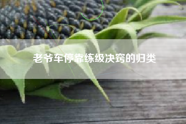 老爷车停靠练级决窍的归类