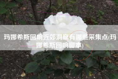 玛娜希斯回响近郊洞窟有哪些采集点(玛娜希斯回响脚本)