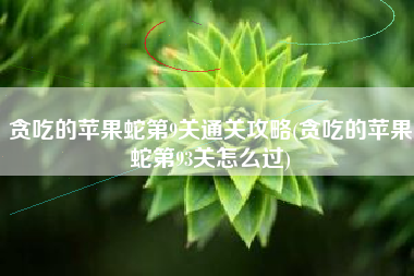 贪吃的苹果蛇第9关通关攻略(贪吃的苹果蛇第93关怎么过)