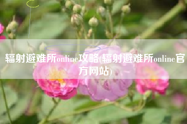 辐射避难所online攻略(辐射避难所online官方网站)