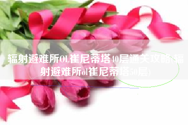 辐射避难所OL崔尼蒂塔40层通关攻略(辐射避难所ol崔尼蒂塔50层)