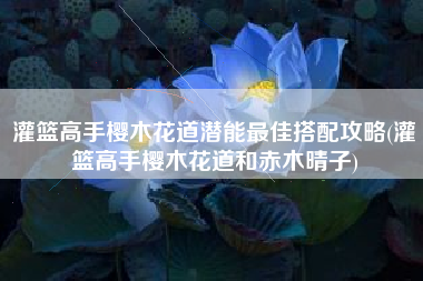 灌篮高手樱木花道潜能最佳搭配攻略(灌篮高手樱木花道和赤木晴子)