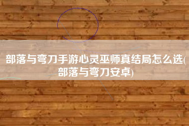部落与弯刀手游心灵巫师真结局怎么选(部落与弯刀安卓)