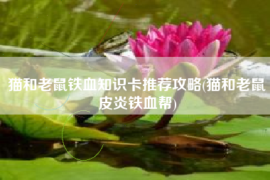 猫和老鼠铁血知识卡推荐攻略(猫和老鼠皮炎铁血帮)
