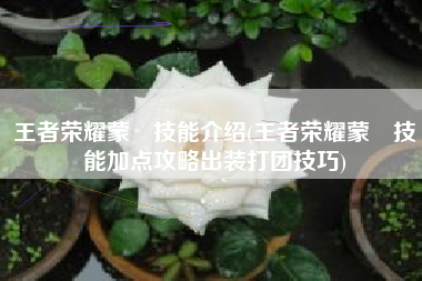 王者荣耀蒙犽技能介绍(王者荣耀蒙犽技能加点攻略出装打团技巧)