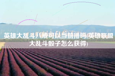 英雄大乱斗八戒可以当前排吗(英雄联盟大乱斗骰子怎么获得)