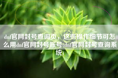 dnf官网封号查询页，这些操作细节可怎么用dnf官网封号账号(dnf官网封号查询系统)