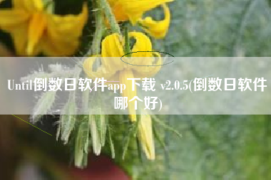 Until倒数日软件app下载 v2.0.5(倒数日软件哪个好)
