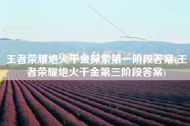 王者荣耀炮火千金探索第一阶段答案(王者荣耀炮火千金第三阶段答案)