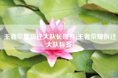 王者荣耀拆迁大队长现身(王者荣耀拆迁大队标签)