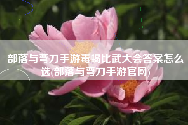 部落与弯刀手游毒蝎比武大会答案怎么选(部落与弯刀手游官网)