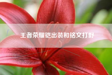 王者荣耀铠出装和铭文打野