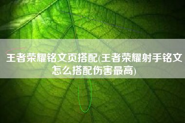 王者荣耀铭文页搭配(王者荣耀射手铭文怎么搭配伤害最高)
