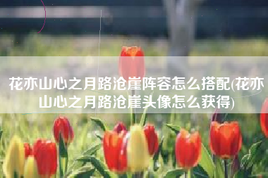 花亦山心之月路沧崖阵容怎么搭配(花亦山心之月路沧崖头像怎么获得)