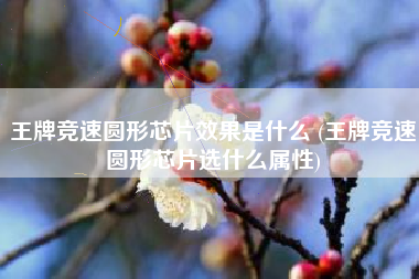 王牌竞速圆形芯片效果是什么 (王牌竞速圆形芯片选什么属性)