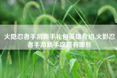 火隐忍者手游新手礼包英雄介绍,火影忍者手游新手攻略有哪些