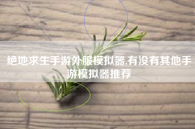 绝地求生手游外服模拟器,有没有其他手游模拟器推荐