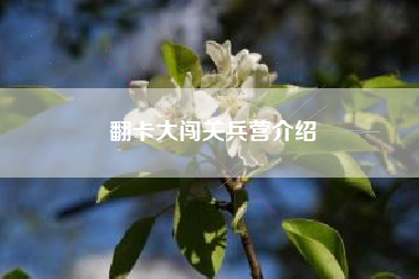 翻卡大闯关兵营介绍
