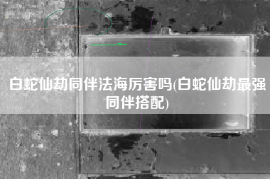 白蛇仙劫同伴法海厉害吗(白蛇仙劫最强同伴搭配)