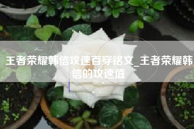 王者荣耀韩信攻速百穿铭文_王者荣耀韩信的攻速值