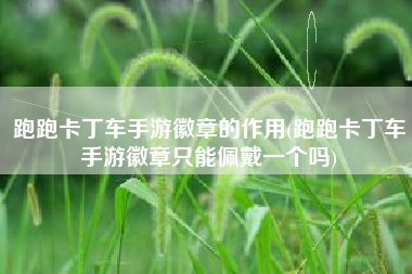 跑跑卡丁车手游徽章的作用(跑跑卡丁车手游徽章只能佩戴一个吗)