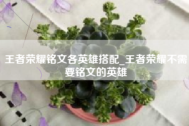 王者荣耀铭文各英雄搭配_王者荣耀不需要铭文的英雄