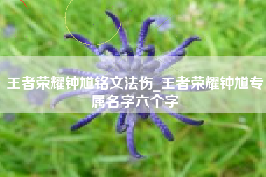 王者荣耀钟馗铭文法伤_王者荣耀钟馗专属名字六个字