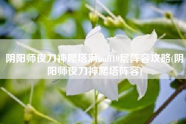 阴阳师夜刀神爬塔满buff10层阵容攻略(阴阳师夜刀神爬塔阵容)