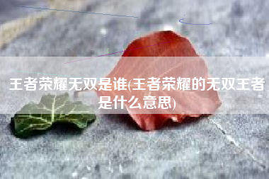 王者荣耀无双是谁(王者荣耀的无双王者是什么意思)