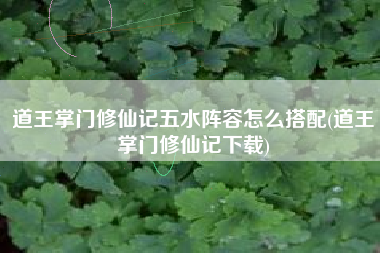 道王掌门修仙记五水阵容怎么搭配(道王掌门修仙记下载)