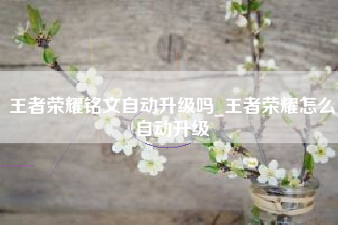 王者荣耀铭文自动升级吗_王者荣耀怎么自动升级
