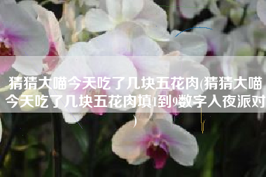 猜猜大喵今天吃了几块五花肉(猜猜大喵今天吃了几块五花肉填1到9数字入夜派对)