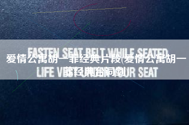 爱情公寓胡一菲经典片段(爱情公寓胡一菲经典台词剑)