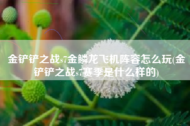 金铲铲之战s7金鳞龙飞机阵容怎么玩(金铲铲之战s7赛季是什么样的)