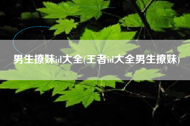 男生撩妹id大全(王者id大全男生撩妹)