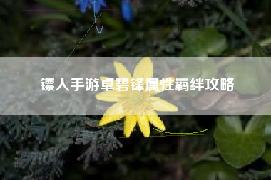 镖人手游卓碧锋属性羁绊攻略